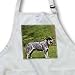 Dogs Australian Cattle - Australian Cattle Dog - Aprons