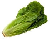 Lettuce Romaine Parris Island Cos Certified Organic Heirloom Seeds 275 Seeds