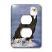 VWPics Birds - BALD EAGLE WITH FLUFFY FEATHERS ON ICE.(HALIAEETUS LECUCOCEPHALUS).HOMER, ALASKA - Light Switch Covers - 2 plug outlet cover