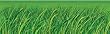 GRASS BB SETS-BIG BORDERS PK-5