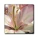 Beautiful Pink Lily Flower- Easter Flowers- Macro Photography - 4 Inch Ceramic Tile