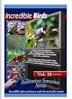 Incredible Birds Relaxation DVD