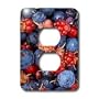 Fruit Food - Wild Berries - Light Switch Covers - 2 plug outlet cover