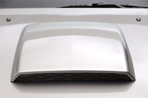 3dCarbon 2005-2009 Mustang Hood Scoop II (painted: Torch Red - D3)