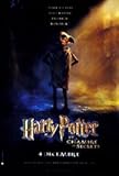 IMAGE OF Harry Potter and the Chamber of Secrets Original Advance French Movie Poster 47