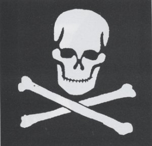 Stencil Skull Crossbones Steel