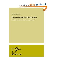 Die europ�ische Grundrechtscharta: Ein Fortschritt im europ�ischen Grundrechtsschutz?