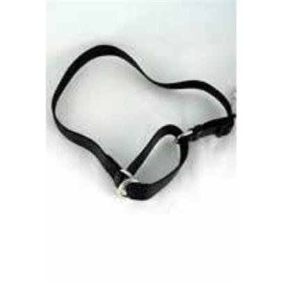 Slip Free Adjustable Collar