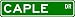 CAPLE Street Sign ~ Personalized Family Lastname Sign ~ Gameroom, Basement, Garage Sign **