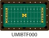 9 foot Billiard Pool Table Cloth Michigan
