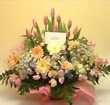 �ԍH�[�ԑ���G�[�f�����C�X �t�����[�M�t�g �t�̃J���t���K�[�f���A�����W�����g