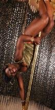 31vDV7oowgL Dance Pole Removable Polished Brass 910 Free Mighty