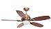 Fantasia Phoenix Ceiling Fan 42 Inch Antique Brass With Ligh