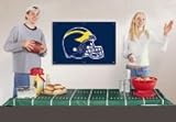 Michigan Wolverines Party Decorating Kit
