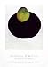 Green Apple on Black Plate, 1922 - without Logo Art Print Poster By Georgia O'Keeffe, 18  x 25 