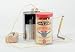 Electromagnet Kit