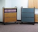 Medline Privacy Chart Shelves, Capacity 16 (2 rows of 8 binders 41H x 29.5W)