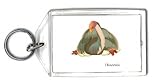 Keychain with dinosaur, prehistoric, bird