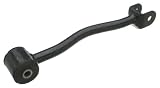 OES Genuine Radius Rod