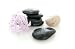 Rocks and a Flower - 18