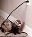 Chewsafe Cord Cover Discourages pets that chew