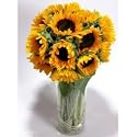 20 Premium Fresh Sunflowers