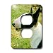 Dogs Miniature Bull Terrier - Miniature Bull Terrier - Light Switch Covers - 2 plug outlet cover