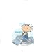 Search : A Charlie Brown Christmas Peanuts Pigpen figure