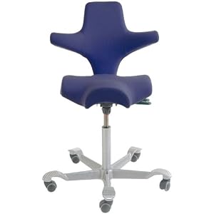 Izzy Chair: Hag Capisco