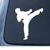 31vGZonrMDL. SL160  KARATE KICK   Vinyl Car Decal Sticker #1317 | Vinyl Color: White