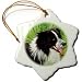 Dogs Border Collie - Border Collie - Ornaments
