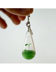 Wireless: DIY Growing Pet Plant Seed Bonsai Phone Strap Charm Dangle - Phone charms and straps