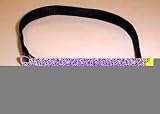 Coastal Pet Adjustable Reflective Nylon Dog Collar (Black with Bones, 8-12 inch L x 3/8 inch W)