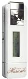 PNP 1GB PreLoaded 100 Track MP3 PLAYER - Musical