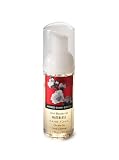 Bath & Body Works - Japanese Cherry Blossom - Anti-Bacterial Waterless Hand Foam 1.7 Oz