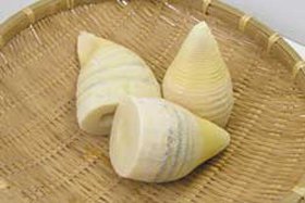 長山 水煮 筍ホール(3本入) 1Kg