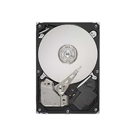 Seagate - ST31000524AS - Disque dur Interne 3,5" - SATA II - 1 To