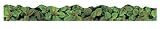 TRIMMER GREEN FOLIAGE DISCOVERY