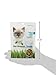Pet Greens Treats Seafood Salad Crunchy Cat Treat