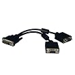 Tripp Lite DVI (M)To VGA (2) Splitter Adapter - 1ft