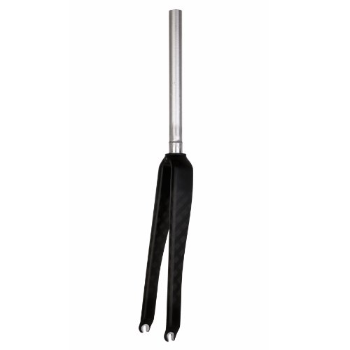 Serious Rennrad Gabel R01 Carbon Gabel