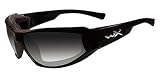 Wiley X Jake LA Light Adjusting Smoke Grey/Gloss Black
