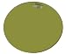 Kitchen & Housewares : Escali Bath Scale