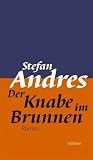 Produkt-Bild: Werke in Einzelausgaben / Der Knabe im Brunnen: Roman