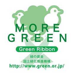 Dream Ribbon Project ドリームリボンストラップ グリーン