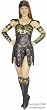 Adult Warrior Princess Costume (Size:Medium 8-10)