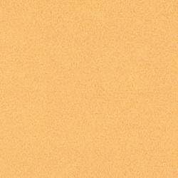 Pristine Powders Edible Luster Dust ~ Food Color (Marigold)