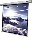 Celexon Leinwand Rollo Economy 200 x 200 cm