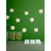 Garland Lighted-White