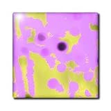 Pink Ice Cream Dots - 8 Inch Glass Tile